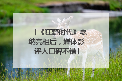 《狂野时代》戛纳亮相后，媒体影评人口碑不错