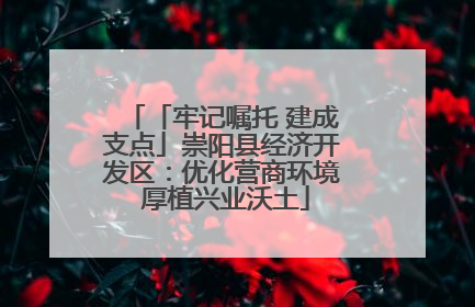 「牢记嘱托 建成支点」崇阳县经济开发区：优化营商环境 厚植兴业沃土