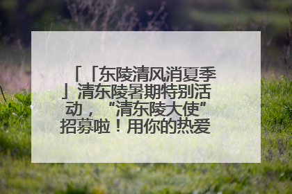 「东陵清风消夏季」清东陵暑期特别活动，“清东陵大使”招募啦！用你的热爱守护世界遗产！