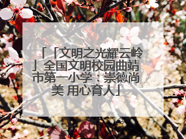 「文明之光耀云岭」全国文明校园曲靖市第一小学：崇德尚美 用心育人