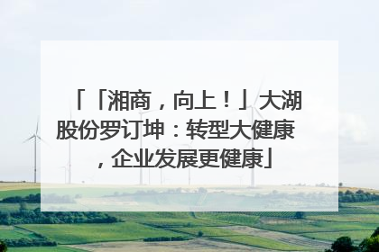 「湘商，向上！」大湖股份罗订坤：转型大健康，企业发展更健康