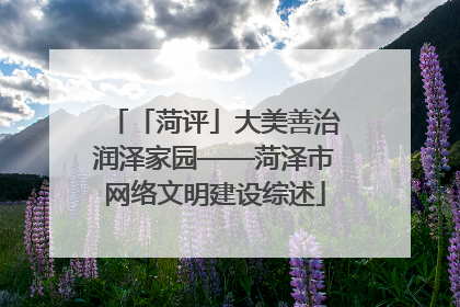 「菏评」大美善治润泽家园——菏泽市网络文明建设综述
