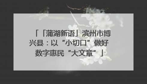 「蒲湖新语」滨州市博兴县：以“小切口”做好数字惠民“大文章”