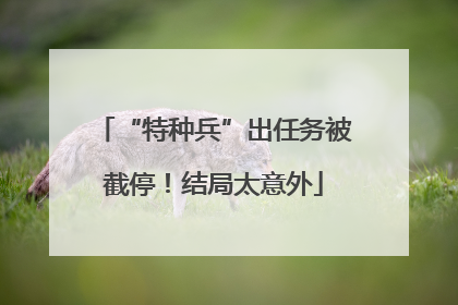 “特种兵”出任务被截停！结局太意外