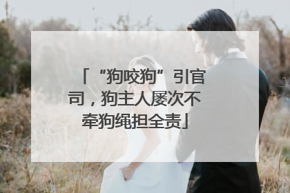 “狗咬狗”引官司，狗主人屡次不牵狗绳担全责