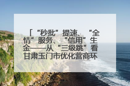 “秒批”提速、“全情”服务、“信用”生金——从“三级跳”看甘肃玉门市优化营商环境的进阶之路