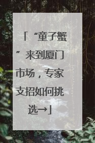 “童子蟹”来到厦门市场，专家支招如何挑选→