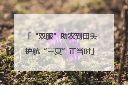 “双服”助农到田头 护航“三夏”正当时