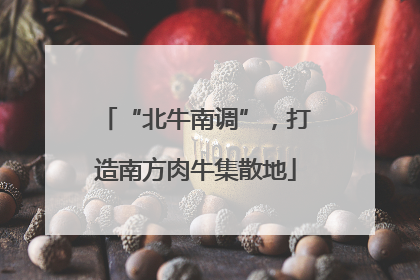 “北牛南调”，打造南方肉牛集散地
