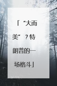 “大而美”？特朗普的一场格斗