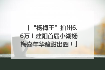 “杨梅王”拍出6.6万！建阳首届小湖杨梅嘉年华酸甜出圈！