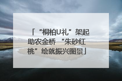 “桐柏U礼”架起助农金桥 “朱砂红桃”绘就振兴图景