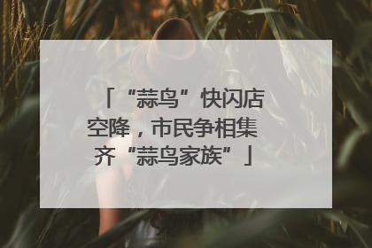 “蒜鸟”快闪店空降，市民争相集齐“蒜鸟家族”