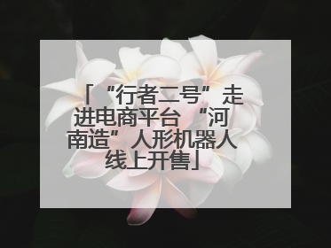 “行者二号”走进电商平台 “河南造”人形机器人线上开售