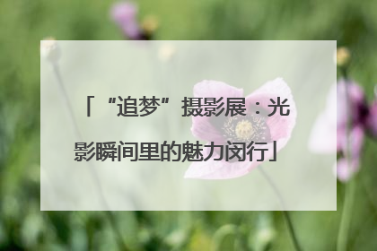 “追梦”摄影展：光影瞬间里的魅力闵行