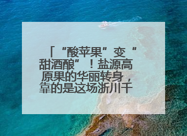 “酸苹果”变“甜酒酿”！盐源高原果的华丽转身，靠的是这场浙川千里“联姻”