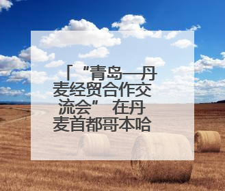 “青岛—丹麦经贸合作交流会” 在丹麦首都哥本哈根举行