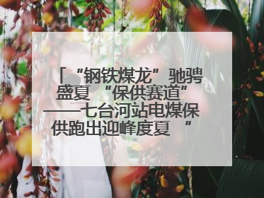 “钢铁煤龙”驰骋盛夏 “保供赛道”——七台河站电煤保供跑出迎峰度夏 “加速度”