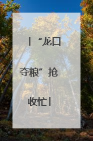 “龙口夺粮”抢收忙
