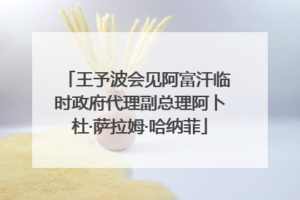 王予波会见阿富汗临时政府代理副总理阿卜杜·萨拉姆·哈纳菲