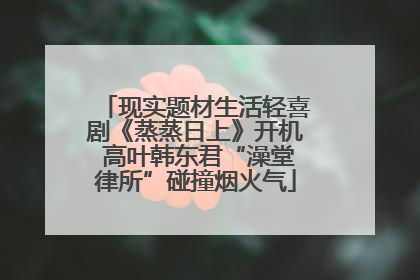 现实题材生活轻喜剧《蒸蒸日上》开机 高叶韩东君“澡堂律所”碰撞烟火气