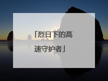 烈日下的高速守护者