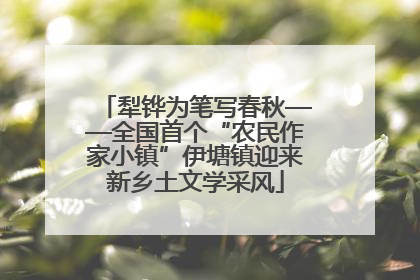 犁铧为笔写春秋——全国首个“农民作家小镇”伊塘镇迎来新乡土文学采风