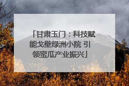 甘肃玉门：科技赋能戈壁绿洲小院 引领蜜瓜产业振兴