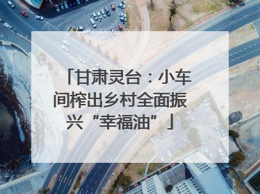 甘肃灵台：小车间榨出乡村全面振兴“幸福油”