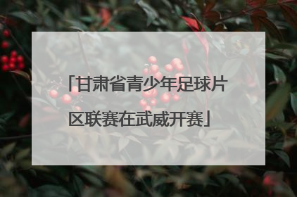 甘肃省青少年足球片区联赛在武威开赛