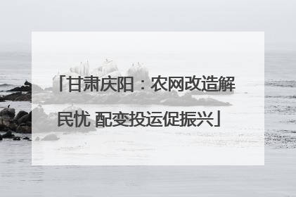 甘肃庆阳：农网改造解民忧 配变投运促振兴