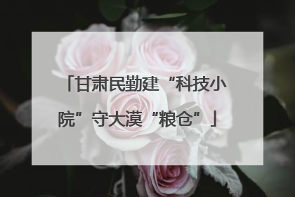 甘肃民勤建“科技小院”守大漠“粮仓”