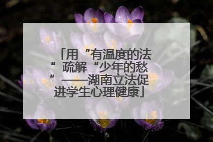 用“有温度的法”疏解“少年的愁”——湖南立法促进学生心理健康