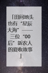 田间地头也有“星辰大海”——三位“00后”新农人的夏收故事
