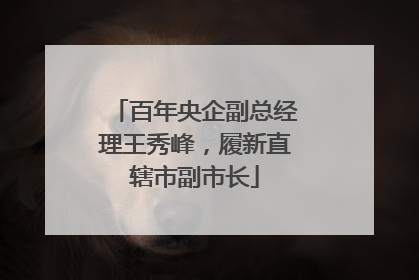 百年央企副总经理王秀峰，履新直辖市副市长
