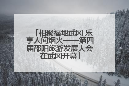 相聚福地武冈 乐享人间烟火——第四届邵阳旅游发展大会在武冈开幕