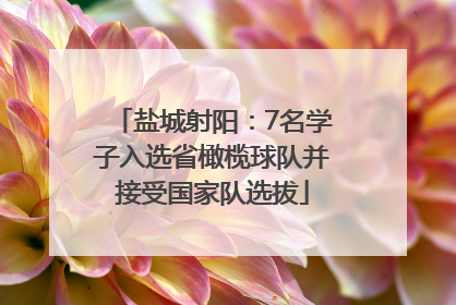 盐城射阳：7名学子入选省橄榄球队并接受国家队选拔