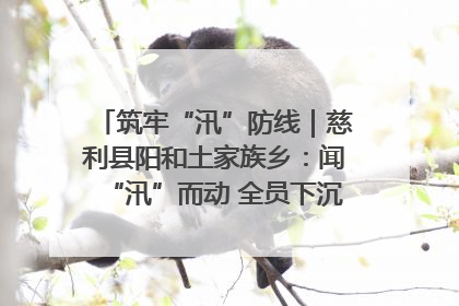 筑牢“汛”防线｜慈利县阳和土家族乡：闻“汛”而动 全员下沉筑牢防汛“安全堤”