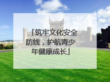 筑牢文化安全防线，护航青少年健康成长