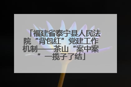 福建省泰宁县人民法院“背包红”党建工作机制——茶山“案中案”一揽子了结