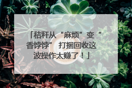 秸秆从“麻烦”变“香饽饽” 打捆回收这波操作太赚了！