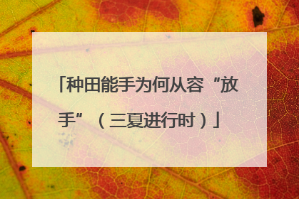 种田能手为何从容“放手”（三夏进行时）