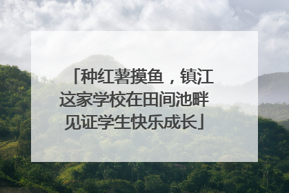 种红薯摸鱼，镇江这家学校在田间池畔见证学生快乐成长