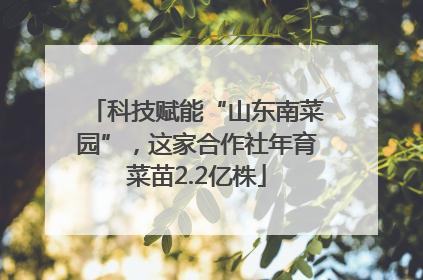 科技赋能“山东南菜园”，这家合作社年育菜苗2.2亿株