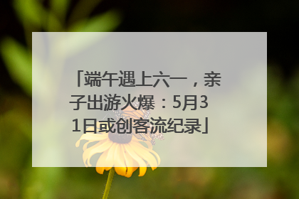 端午遇上六一，亲子出游火爆：5月31日或创客流纪录