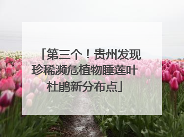 第三个！贵州发现珍稀濒危植物睡莲叶杜鹃新分布点