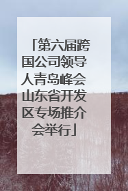 第六届跨国公司领导人青岛峰会山东省开发区专场推介会举行