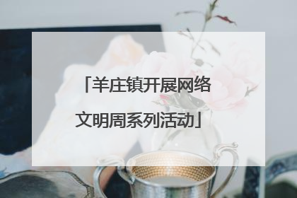 羊庄镇开展网络文明周系列活动