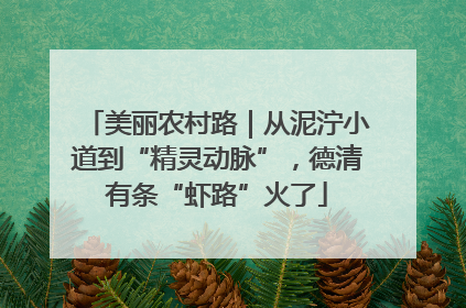 美丽农村路｜从泥泞小道到“精灵动脉”，德清有条“虾路”火了