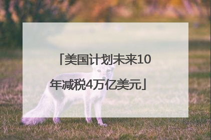 美国计划未来10年减税4万亿美元